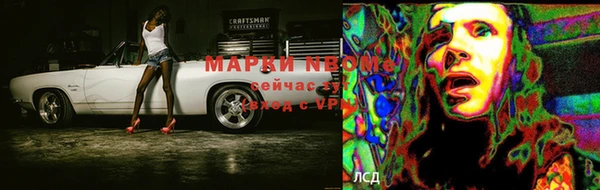 PSILOCYBIN Аркадак