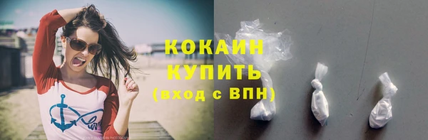 PSILOCYBIN Аркадак