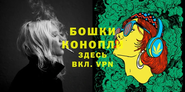 PSILOCYBIN Аркадак