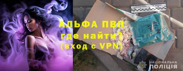 PSILOCYBIN Аркадак