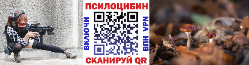 Псилоцибиновые грибы Cubensis  ссылка на мегу зеркало  Сунжа 