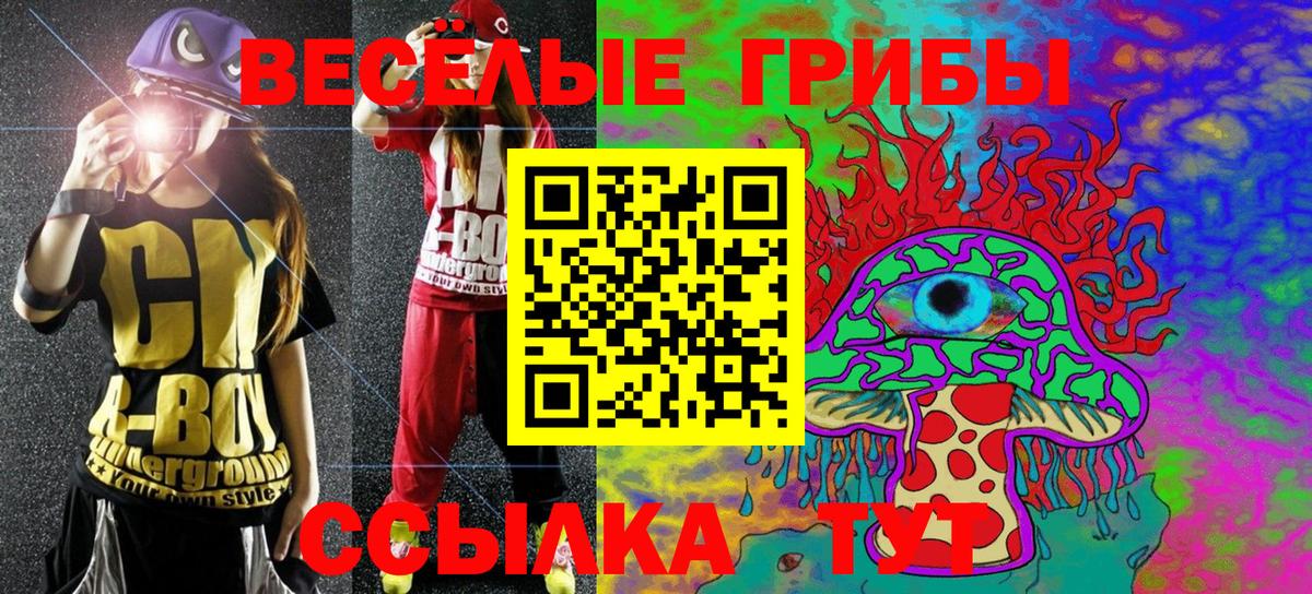 Сунжа  Псилоцибиновые грибы Magic Shrooms  Вход с VPN 